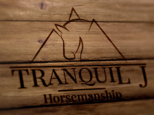 Tranquil J Horsemanship